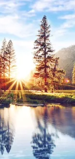 Sunrise over a serene forest reflecting in calm water.