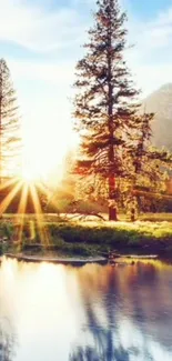 Sunrise over serene forest with reflecting water.