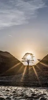 Beautiful sunrise over hills with a silhouetted tree in the center of the scene.