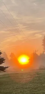 Sunrise over misty fields with trees silhouetted against an orange sky.