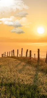 A calming sunrise over a lush green meadow with a wooden fence.