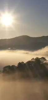 Beautiful sunrise over misty mountains with lush greenery.