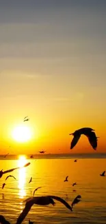 Sunrise over ocean with birds in flight.