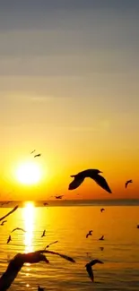 Sunrise over sea with flying birds creating a calming scene.