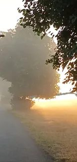 Misty sunrise with glowing pathway and lush trees.