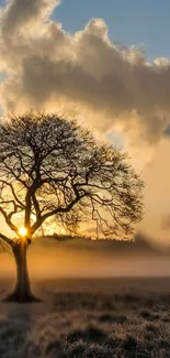 Lone tree at sunrise with a warm glow and frosty landscape.