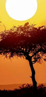 Vibrant sunset with tree silhouette on mobile wallpaper.