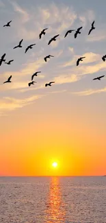 Serene sunset with birds flying over a tranquil ocean view.