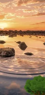 Scenic sunset at a rocky beach with reflections on the water under a colorful sky.