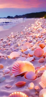 Colorful seashells on a tranquil beach at sunset.