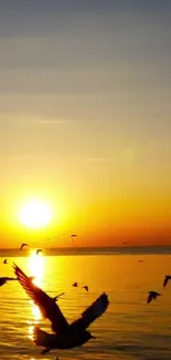 Sunset beach with birds flying across a golden horizon.