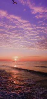 Serene purple sunset at the beach with calming ocean waves and a bird in the sky.