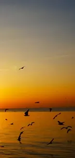 Stunning sunset beach wallpaper with birds and orange sky.