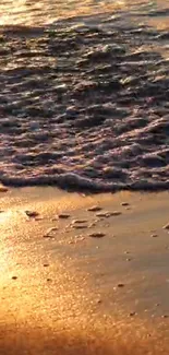 Golden sunset casting light on tranquil beach waves.