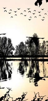 Mobile wallpaper of birds silhouetted against a sunset over a reflective lake.