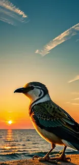 A bird silhoutte against a vibrant ocean sunset on a mobile wallpaper.