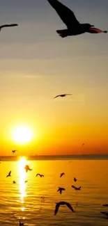 Birds silhouetted against a golden ocean sunset.