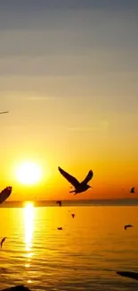 Birds flying over ocean at sunset with vibrant orange hues.