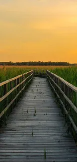 Sunset view over a wooden boardwalk surrounded by greenery.