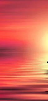 Calming sunset wallpaper with boat silhouette and pink, orange hues on water.