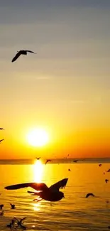 Sunset over the sea with birds flying elegantly in the glowing sky.