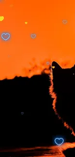 Silhouette of a cat against an orange sunset, evoking calm and nature's beauty.