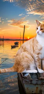 Cat sits on a boat at sunset over a tranquil lake.