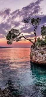 Serene coastal sunset with rocky outcrops and trees.