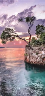 Serene coastal view of sunset with tree.