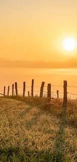 Serene sunset over grassy field with rustic fence.