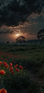 Sunset over a field with red flowers and a dramatic evening sky.