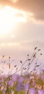 A serene sunset over a flower field with a pastel sky.