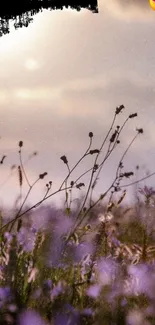 Serene sunset with silhouetted flowers and purple hues over a warm sky.