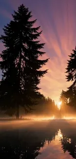 Sunset reflecting through forest trees by a calm lake.