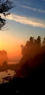 Sunset view through forest trees with vibrant colors.