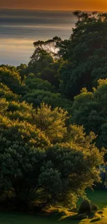 Tranquil forest scene with sunset and waterfall.