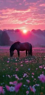 Horse grazing in a sunset-lit field with pink flowers.