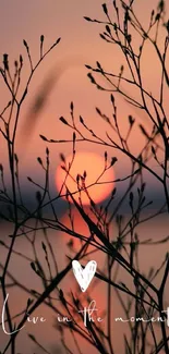 Silhouette of plants against a sunset with 'Live in the Moment' text.