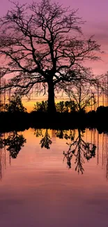 Serene sunset with tree reflection on a lake amid sailboats.