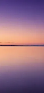 Serene sunset with a tree reflecting on a tranquil lake.