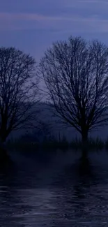 Tranquil lake with silhouetted trees at sunset.