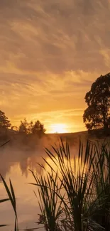 Serene sunset over a tranquil lake with golden sky and silhouetted trees.