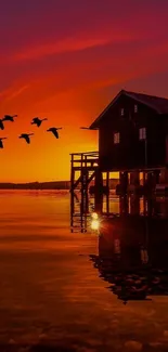 Mobile wallpaper of a sunset over a lake with birds and a rustic house.