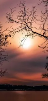 Mobile wallpaper with sunset over a tranquil lake and silhouetted trees.