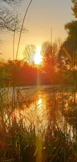 Sunset over a tranquil lake with lush greenery and orange skies.