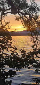 Serene lake view with sunset and trees framing the scene.