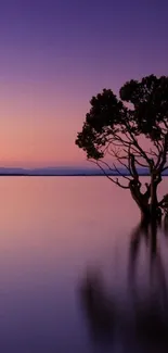 Serene sunset over a tranquil lake with a tree silhouette reflecting in the water.