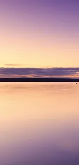 Tranquil sunset over a calm lake with pastel skies.