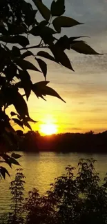 Peaceful sunset over a tranquil lake, silhouetted by trees.