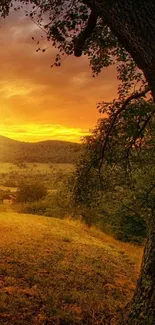 Sunset landscape with a tree and green fields, creating a serene natural scene.